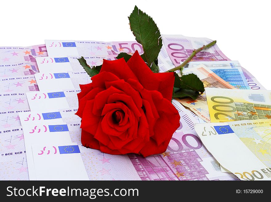 Rose and the euro money isolated on white background