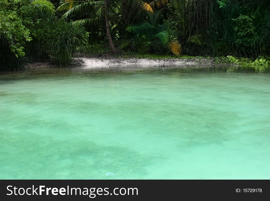 View of a secluded lagoon with tropical jungle and clear turquoise green still waters. View of a secluded lagoon with tropical jungle and clear turquoise green still waters