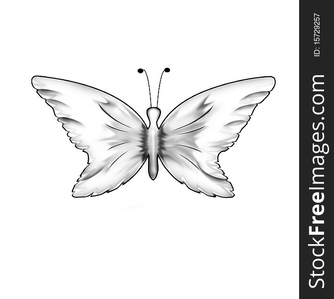 Drawing in black and white butterfly front view