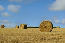 Straw Bales On The Field Royalty Free Stock Photo Straw Bales On The Field Royalty Free Stock Photo