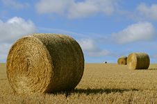 Straw Bales On The Field Stock Photo Straw Bales On The Field Stock Photo