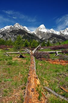 The Grand Teton Range Royalty Free Stock Images The Grand Teton Range Royalty Free Stock Images