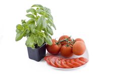 Fresh Basil And Plate Of Tomatos Stock Photo Fresh Basil And Plate Of Tomatos Stock Photo