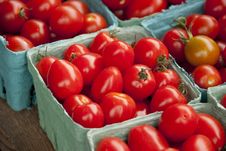 Tomatoes Stock Images Tomatoes Stock Images