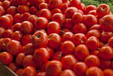 Tomatoes On Vegetable Stand Royalty Free Stock Images Tomatoes On Vegetable Stand Royalty Free Stock Images