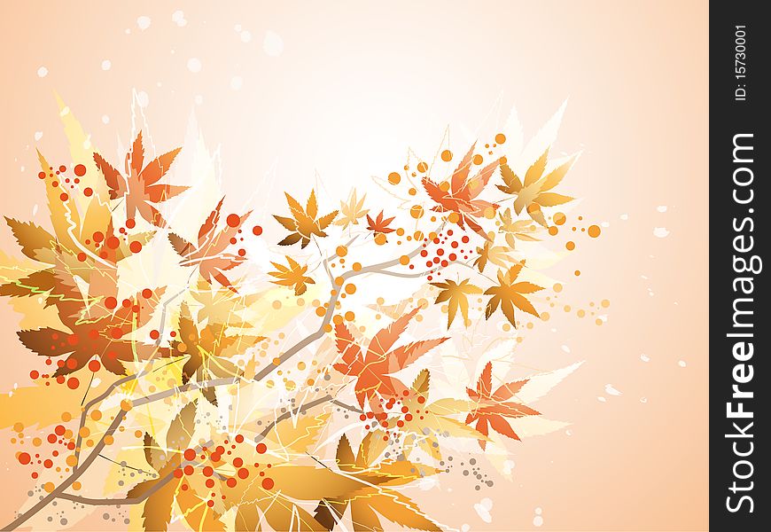 Branch with colorful autumn leaves.