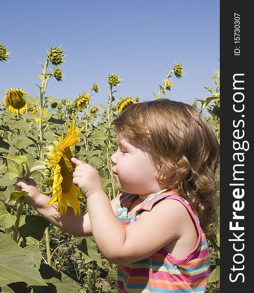 Child and sunflower in the field sun day