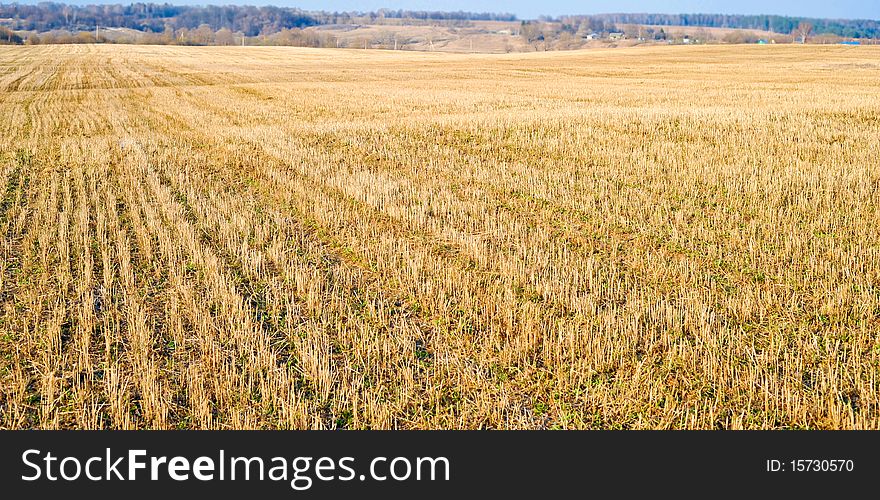 It is a great field with harvested wheat