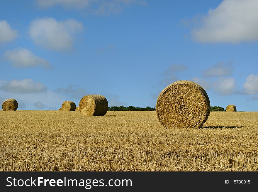 Straw bales on the field in england