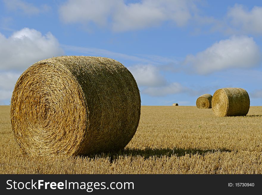 Straw Bales On The Field