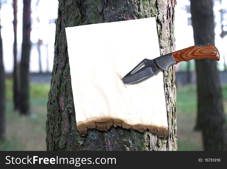 The message attached to a tree trunk