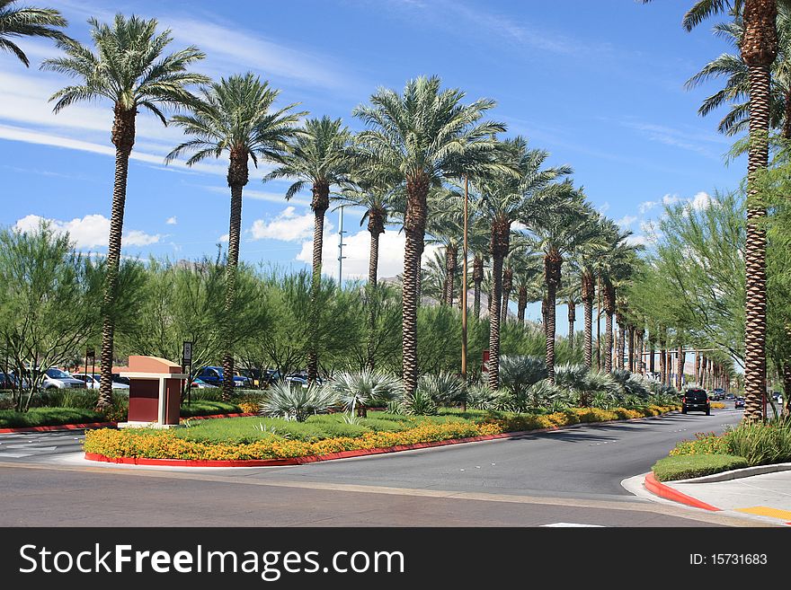 Nevada Sky and Palm Trees Landscape. Nevada Sky and Palm Trees Landscape.