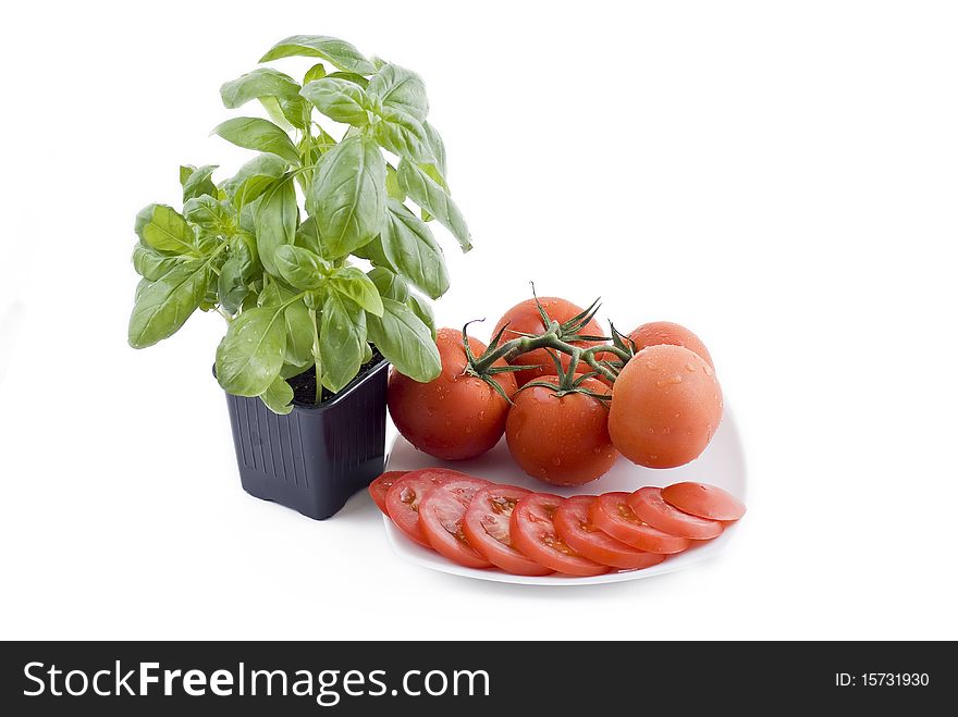 Fresh pot of the basil and plate with bunch of tomatos and sliced tomatos. Fresh pot of the basil and plate with bunch of tomatos and sliced tomatos