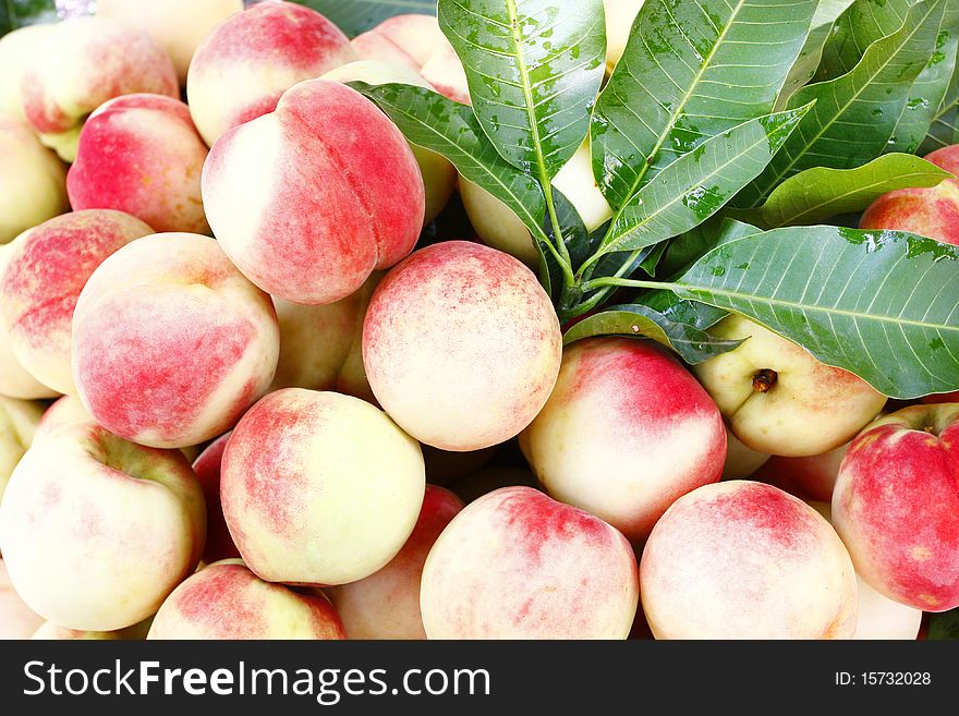 Fresh juicy peaches