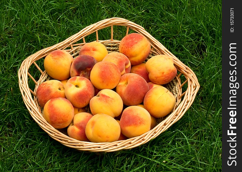 Ripe peaches in the basket on the grass