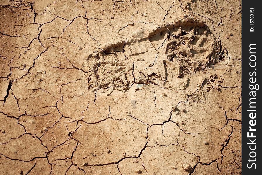 Imprint Of The Shoe On The Dried And Cracked Mud.