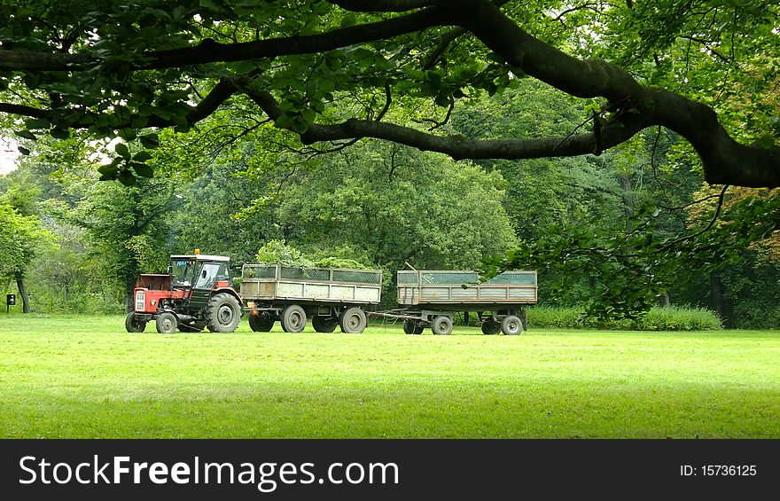 Field works in spring time