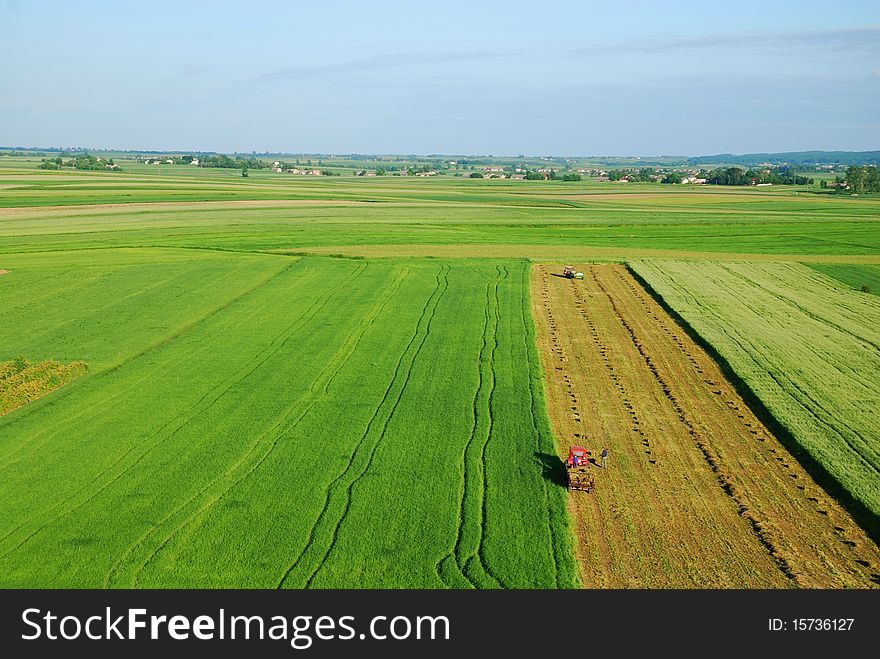 Summer day, aerial view of green meadow