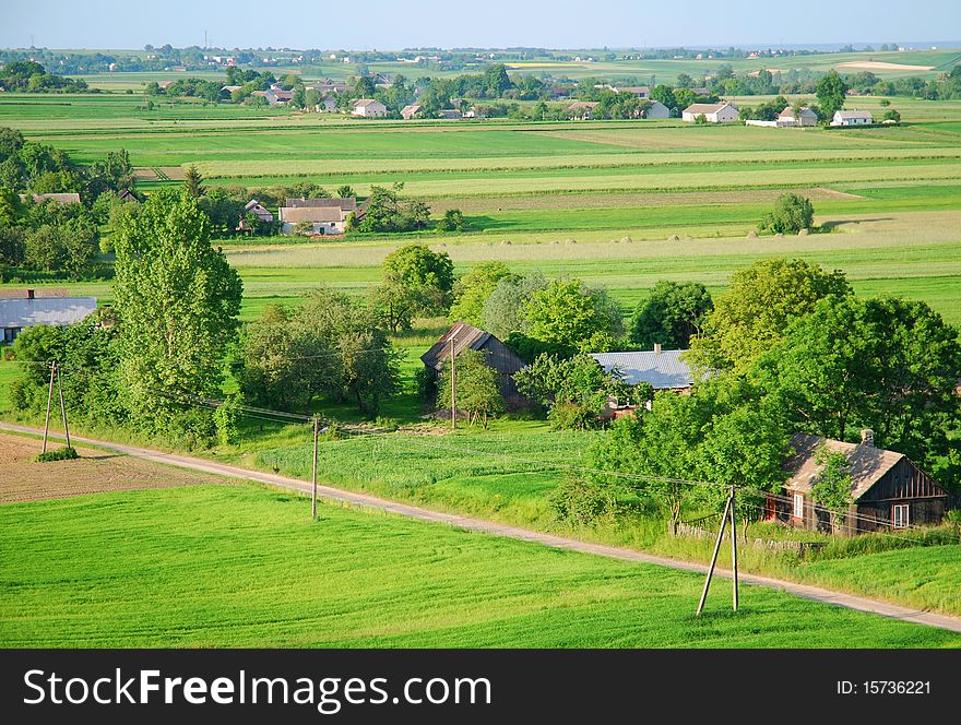 Summer day, agricultural landscape, green fields and meadow.