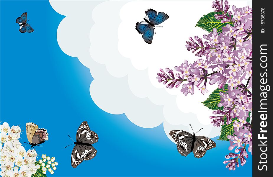 Butterflies And Lilac Flowers On Blue