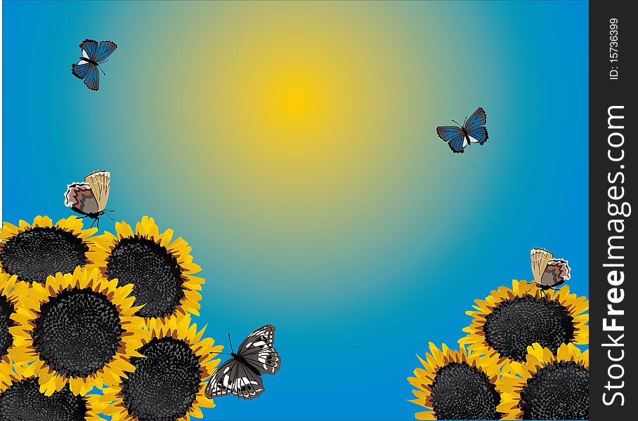 Yellow Sunflowers And Butterflies Illustration