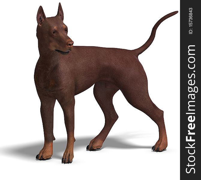 Doberman Dog. 3D rendering with clipping path