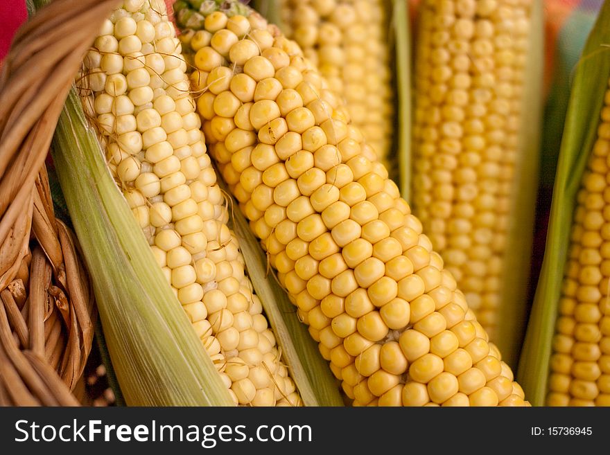 Raw Corn On The Cob