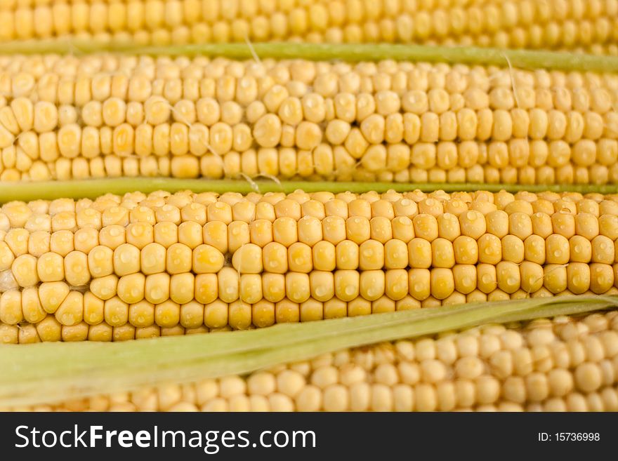 Raw corn on the cob