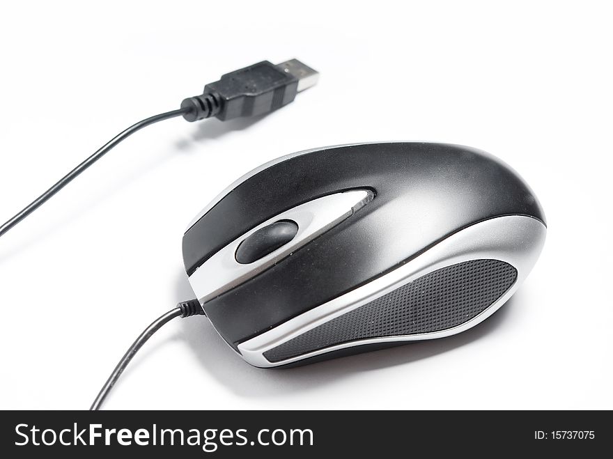 Computer Mouse Isolated