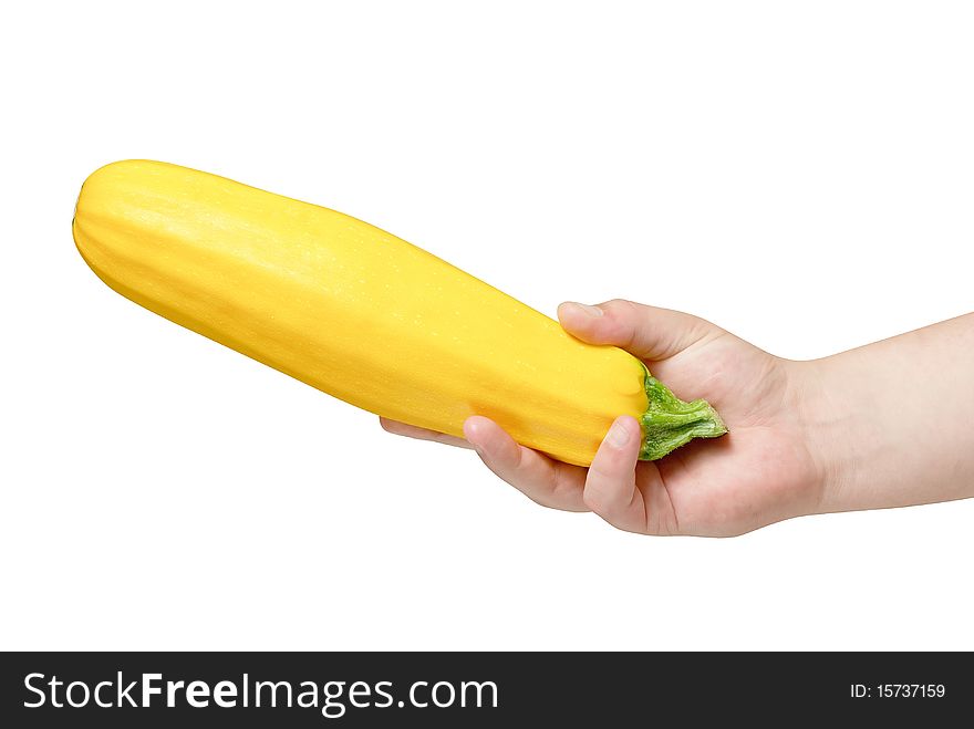 Yellow marrow (Zucchini) in human hand isolated with path