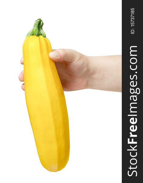 Yellow marrow (Zucchini) in human hand isolated with path