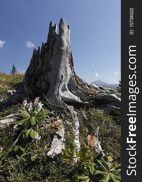 The solitaire stub is overlooking the alps peaks in west dachstein region. The solitaire stub is overlooking the alps peaks in west dachstein region.