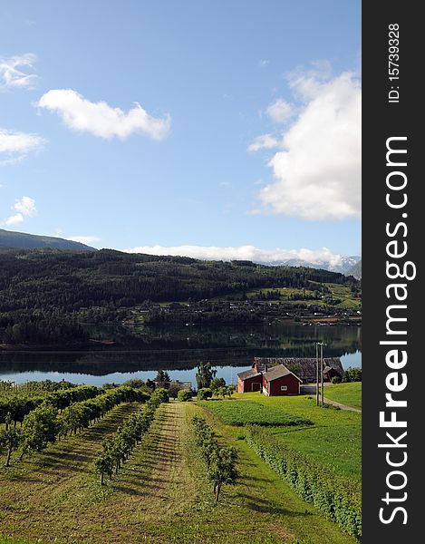 Apple orchards and farmland around Hardangerfjord, Norway