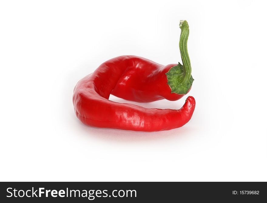 Red hot chili pepper lying on white background