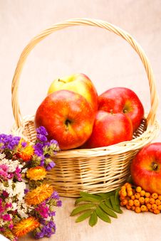 Apples, Berries And Flowers Stock Photography Apples, Berries And Flowers Stock Photography