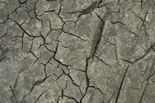 Dry Cracked Surface Royalty Free Stock Photo