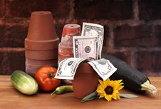 Pots With Growing Money Royalty Free Stock Photography Pots With Growing Money Royalty Free Stock Photography