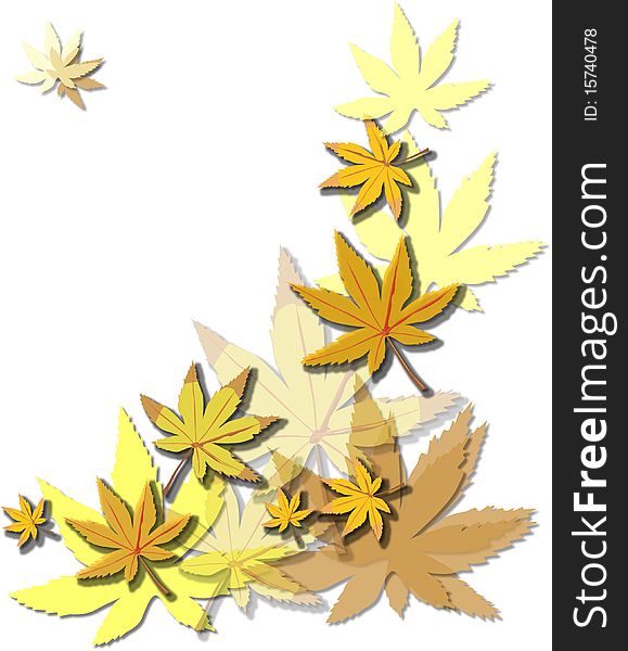 Gold Beautiful  autumn leaves on brightly white background