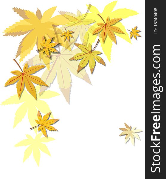 Gold Beautiful autumn leaves on brightly white background