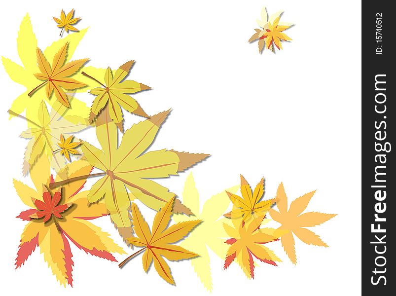 Gold Beautiful  autumn leaves on brightly white background