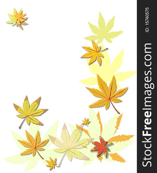 Gold Beautiful  autumn leaves on brightly white background