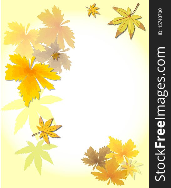 Gold Beautiful  autumn leaves on brightly white background