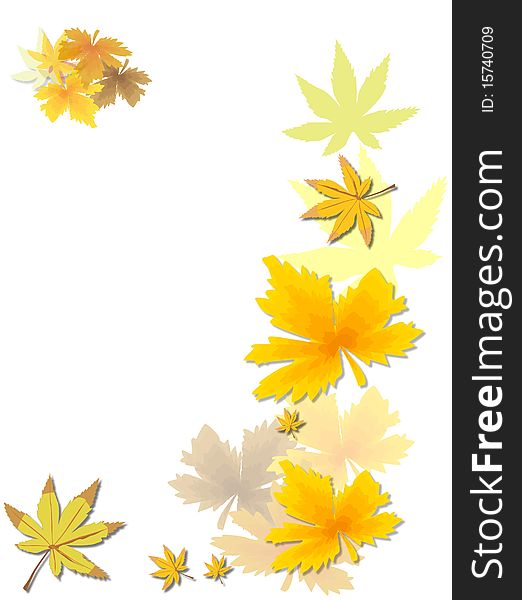 Gold Beautiful autumn leaves on brightly white background