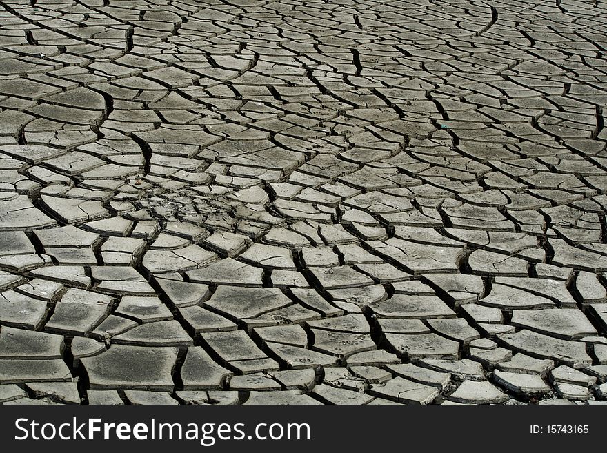 Dry Cracks On Soil