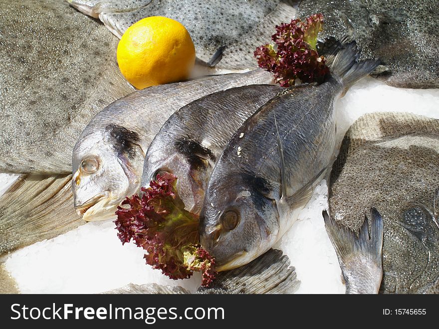 Refrigerated sea water fish for cooking. Refrigerated sea water fish for cooking.