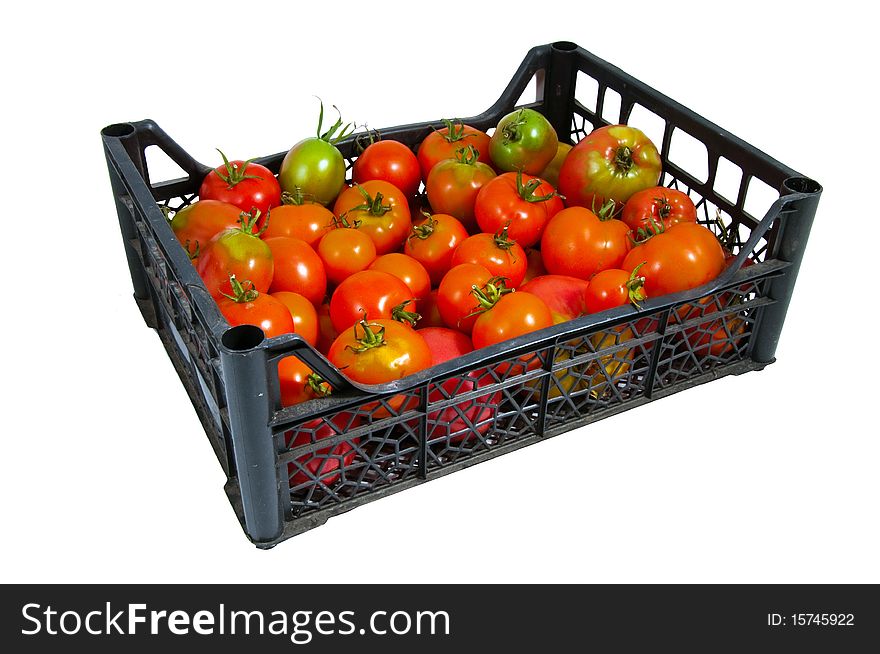 The box of different bright red and green tomatoes isolated on white. The box of different bright red and green tomatoes isolated on white