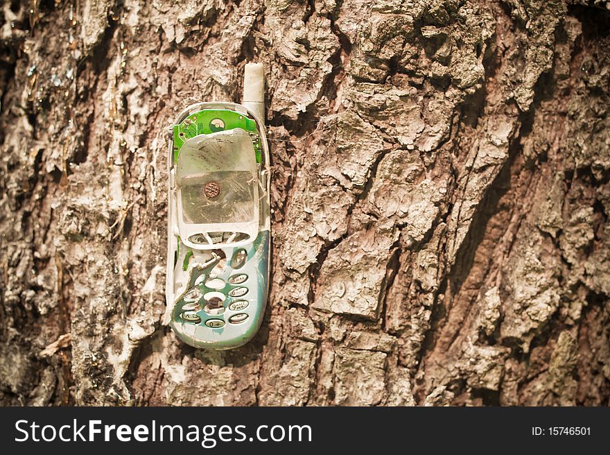 Broken mobile phone nailed to a tree with a nail