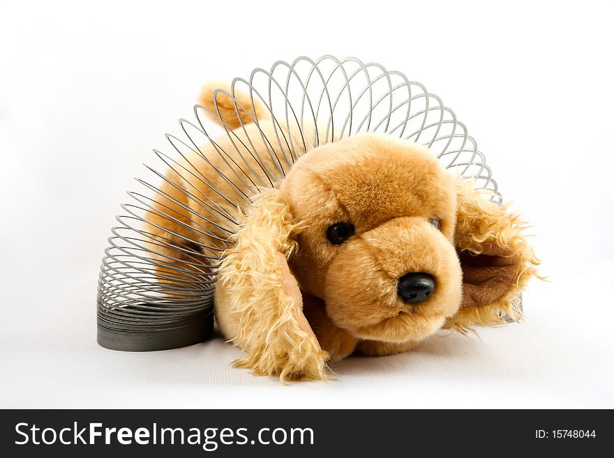 A tan cocker spanial puppy stuffed animal with a slinky wrapped around its waist. A tan cocker spanial puppy stuffed animal with a slinky wrapped around its waist