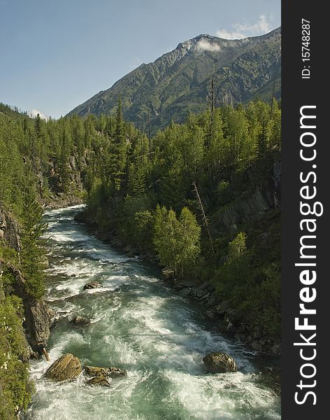 River Kuragan In Altai Mountains