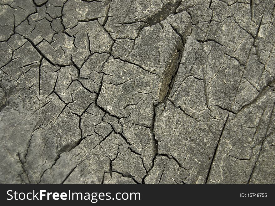 Dry Cracked Surface